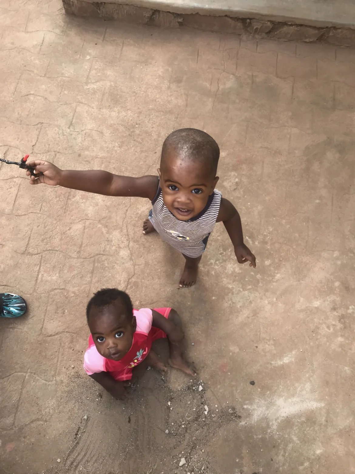 Two toddlers looking up while standing outdoors